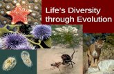 Life’s Diversity through Evolution Science vs. Religion What is science based on? What is science based on? Science is based on OBSERVABLE evidence.