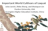 Important World Cultivars of Loquat Jules Janick, Zhike Zhang, and Shunquan Lin Purdue University, USA Guangdon Higher Education Institute, China.