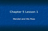 Chapter 5 Lesson 1 Mendel and His Peas. Gregor Mendel Young priest that worked in the garden at a monastery in Vienna. Considered the “Father of Genetics”