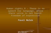 Human Rights Session 9 - Freedom of expression Human rights 9 - There is no speech nor language, where their voice is not heard: Freedom of expression.