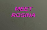 MEET ROSINA 4. VOCABULARY Deaf: not able to hear well or not able to hear at all not able to hear at all.