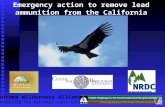 Emergency action to remove lead ammunition from the California condor range Ventana Wilderness Alliance Protecting the Northern Santa Lucia