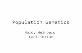 Population Genetics Hardy Weinberg Equilibrium. 6.1 Mendelian Genetics in Populations: The Hardy-Weinberg Equilibrium Principle