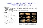 Chap. 5 Molecular Genetic Techniques (Part A) Topics Genetic Analysis of Mutations to Identify and Study Genes DNA Cloning and Characterization Goals Learn.