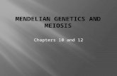 Chapters 10 and 12.  1 st studies of heredity  genetics  Traits  characteristics that are inherited.