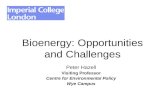 Peter Hazell Visiting Professor Centre for Environmental Policy Wye Campus Bioenergy: Opportunities and Challenges.