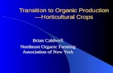 Transition to Organic Production—Horticultural Crops Brian Caldwell Northeast Organic Farming Association of New York.