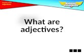What are adjectives? Grammar Toolkit. one Adjectives are describing words. soft curious slimy cute small alive blue green