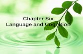Chapter Six Language and Cognition 2 Contents ＊ Cognition ＊ Psycholinguistics ＊ Cognitive Linguistics.