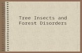 Tree Insects and Forest Disorders. Click one… Insect Categories.