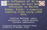 The Influence of 3D Dune Topography on Salt Water Intrusion in Marina Romea, Italy: a numerical modeling study using LIDAR Data Pauline Mollema, Marco.