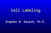 Cell Labeling Stephen M. Karesh, Ph.D.. Cell Labeling topics to be covered u Red Cells: Tc-99m and Cr-51 u White Cells: Tc-99m and In-111 u Platelets:In-111.