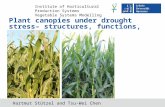 Institute of Horticultural Production Systems Vegetable Systems Modelling Hartmut Stützel and Tsu-Wei Chen Plant canopies under drought stress– structures,