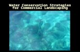 Water Conservation Strategies for Commercial Landscaping.