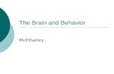 The Brain and Behavior McElhaney. Biopsychology= Bio explanation/cause for behavior. Or Physiological Psychology  Includes Electro/Chemical processes.
