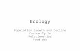 Ecology Population Growth and Decline Carbon Cycle Relationships Food Web.
