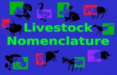 Livestock Nomenclature. Nomenclature A system of names in a science.