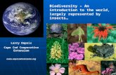 Biodiversity – An introduction to the world, largely represented by insects… Larry Dapsis Cape Cod Cooperative Extension .