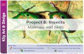 © Boardworks Ltd 2007 1 of 4 Project 6: Insects Materials and Skills © Boardworks Ltd 2007 1 of 4 Icons key: For more detailed instructions, see the Getting.