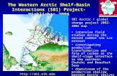 Http://sbi.utk.edu The Western Arctic Shelf-Basin Interactions (SBI) Project-Highlights 2006 SBI Arctic / global change project 2002-2004 map intensive.