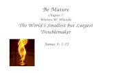 Be Mature Chapter 7 Warren W. Wiersbe The World’s Smallest but Largest Troublemaker James 3: 1-12.