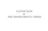 EXTINCTION & THE BIODIVERSITY CRISIS. Biodiversity: All the variety of life, at every level of organization... Genetic diversity Species diversity Ecosystem.