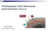 Prokaryotic Cell Structure and function (Part II) Prokaryotic Cell Structure and function (Part II) BIO3124 Lecture #3 (II) 1
