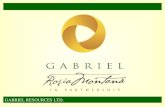 GABRIEL RESOURCES LTD.. Our management team is committed and capable President and CEO Vice President and CFO Vice President, Projects Vice President,