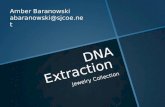 DNA Extraction Jewelry Collection Amber Baranowski abaranowski@sjcoe.net.