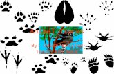 Animal Tracks By: Caleb Balstad Idea: 4th Hour. FACTS A gait is the pattern in which an animal walks. Tracks can be found near water sources and near.