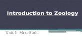 Introduction to Zoology Unit 1- Mrs. Stahl.