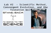 Lab #2 - Scientific Method, Convergent Evolution, and the Tasmanian Wolf story.
