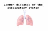 Common diseases of the respiratory system. Pneumonia Lobar pneumonia –Comlaints Pain Fever – continuous Cough - sputum –Inspection Dyspnea Cyanosis Labial.