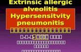 Extrinsic allergic alveolitis Hypersensitvity pneumonitis ปอดอักเสบภูมิไวเกิน ศ. น. พ. อรรถ นานา คณะแพทยศาสตร์ศิริราช