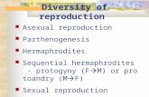 Diversity of reproduction Asexual reproduction Parthenogenesis Hermaphrodites Sequential hermaphrodites - protogyny (F  M) or protoandry (M  F) Sexual.