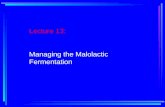 Lecture 13: Managing the Malolactic Fermentation.