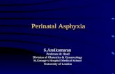 Perinatal Asphyxia S.Arulkumaran Professor & Head Division of Obstetrics & Gynaecology St.George’s Hospital Medical School University of London.