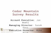 Account Executive: Jon Woehl Managing Director: Sarah Gass Executive Director: Mike Rich.