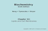 Chapter 12: Lipids and Cell Membranes Copyright © 2007 by W. H. Freeman and Company Berg Tymoczko Stryer Biochemistry Sixth Edition.