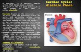 Cardiac Cycle: diastole Phase A heartbeat is a two-part pumping action that takes about a second. This part of the two-part pumping phase (the longer of.