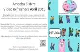 Description: Each refresher box contains images, major points, and reflection questions that correlate with an Amoeba Sisters video. Please note that these.