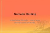 Nomadic Herding A declining lifestyle – many have become semi-nomadic.