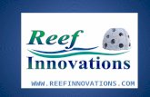 Larry Beggs President of Reef Innovations Board of Reef Ball Foundation NAUI Diver since 1988 over __ dives.