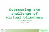Overcoming the challenge of virtual blindness Colin Richardson on365 Ltd.