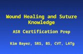 Wound Healing and Suture Knowledge ASR Certification Prep Kim Bayer, SRS, BS, CVT, LATg.