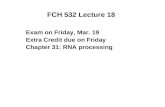 FCH 532 Lecture 18 Exam on Friday, Mar. 19 Extra Credit due on Friday Chapter 31: RNA processing.