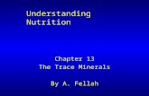 Understanding Nutrition Chapter 13 The Trace Minerals By A. Fellah.