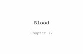 Blood Chapter 17. Review: What is Blood? Only fluid connective tissue – Plasma – Formed elements Erythrocytes (RBC’s) Leukocytes (WBC’s) Thrombocytes.