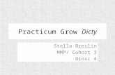 Practicum Grow Dicty Stella Breslin MMP/ Cohort 3 Biosc 4.