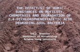 THE EFFECT(S) OF HUMIC SUBSTANCES ON MOTILITY, CHEMOTAXIS AND DEGRADATION OF 2,4-DICHLOROPHENOXYACETIC ACID DEGRADING SOIL BACTERIA Ted I. Brewster Department.